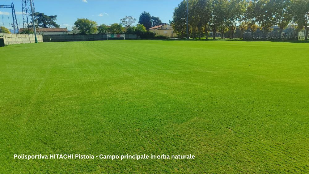 Manutenzione di superfici sportive erba, resina, pavimentazioni antitrauma (1)